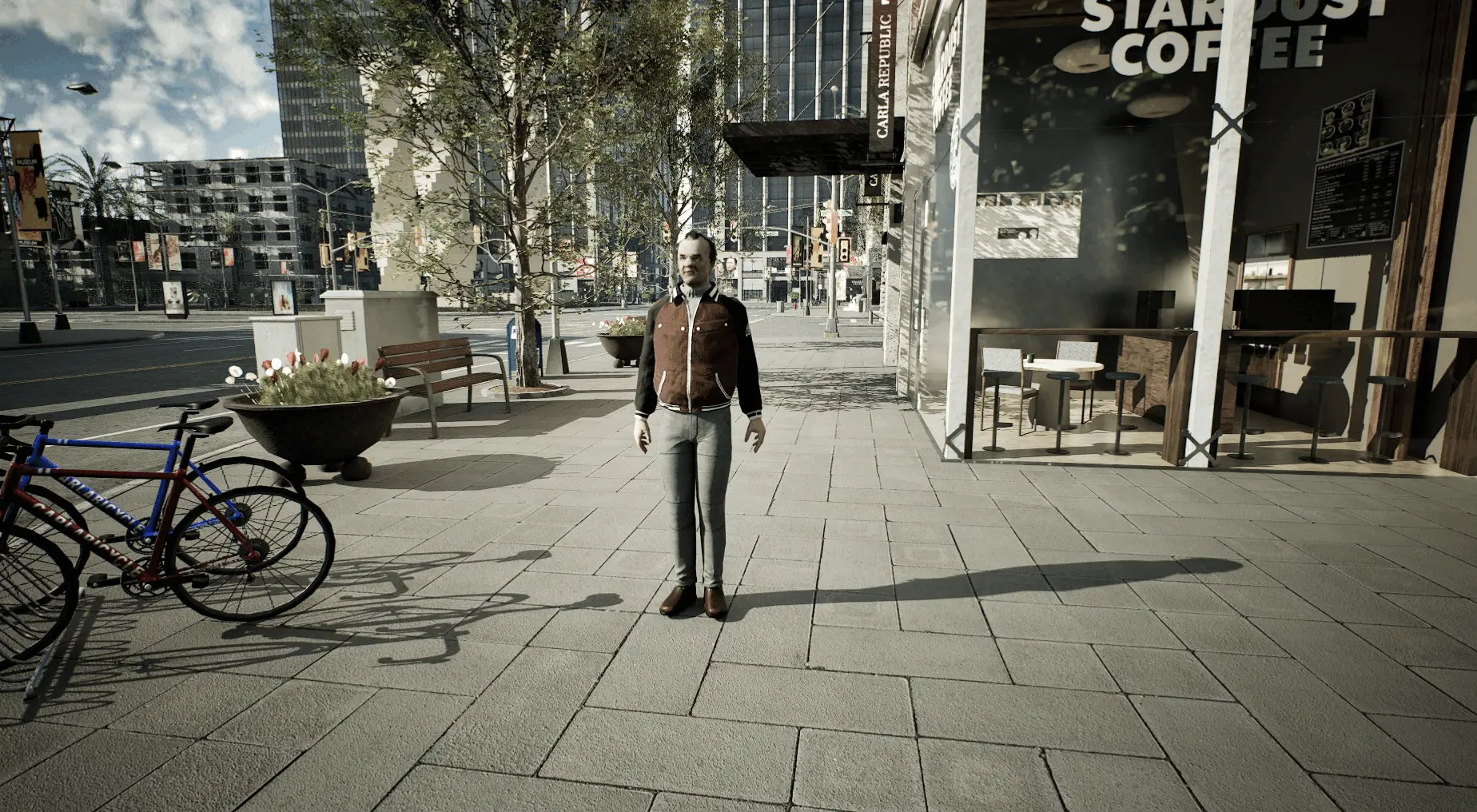 pedestrian_overview